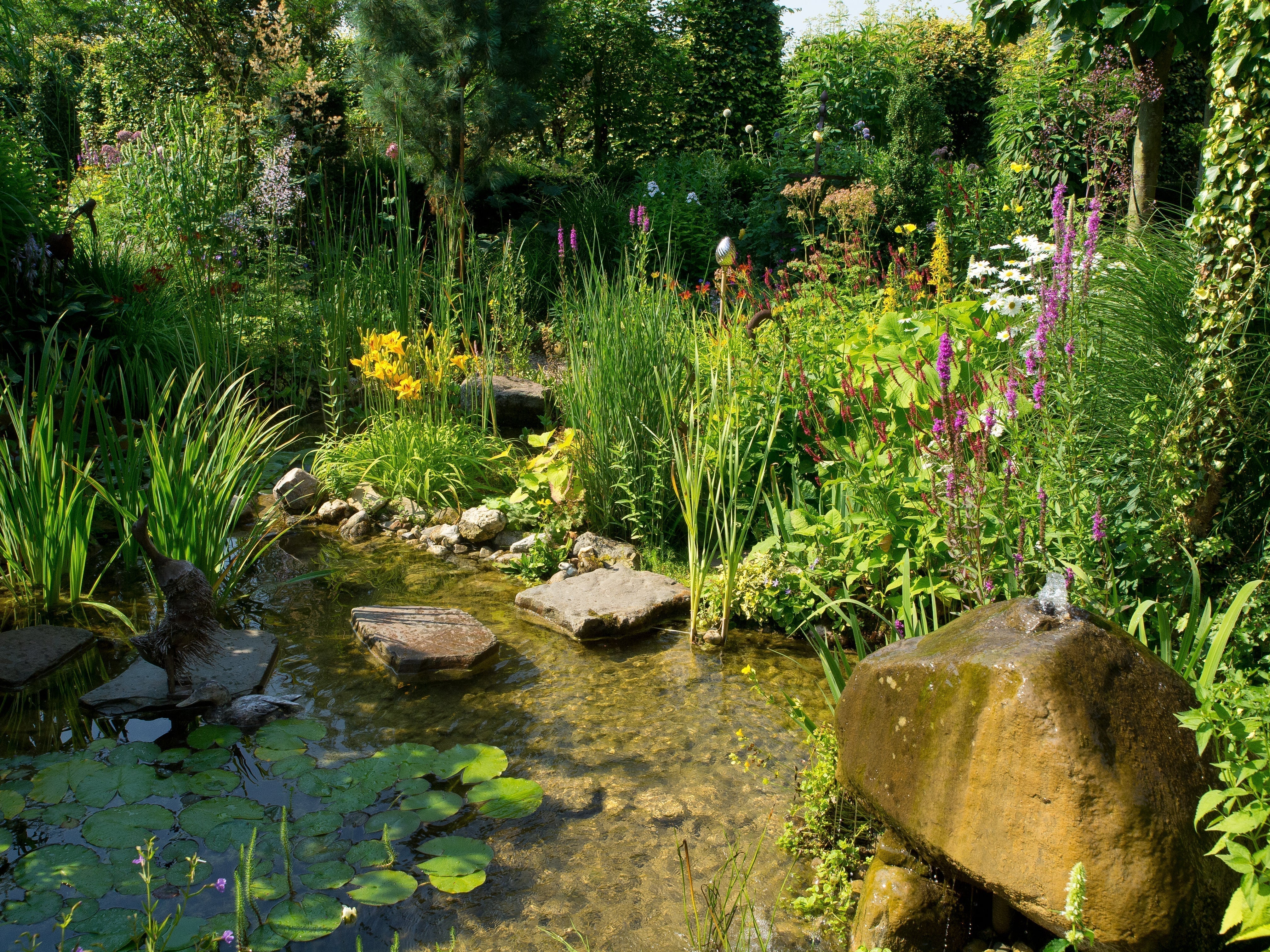 Pond Planting Zones Guide