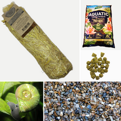 Collection image for: Pond Planting & Care Accessories
