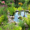 Garden pond showing extensive marginal planting scheme
