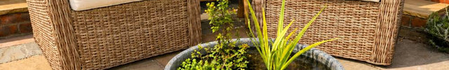 Mini Pond Kits