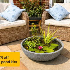 Collection image for: Mini Pond Kits