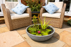 Mini Pond Kit from £95 — Choose Empty, Deep Water or Dwarf Lily Plants