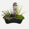 Mixed Marginals Collection - 8 Litre Contour Basket