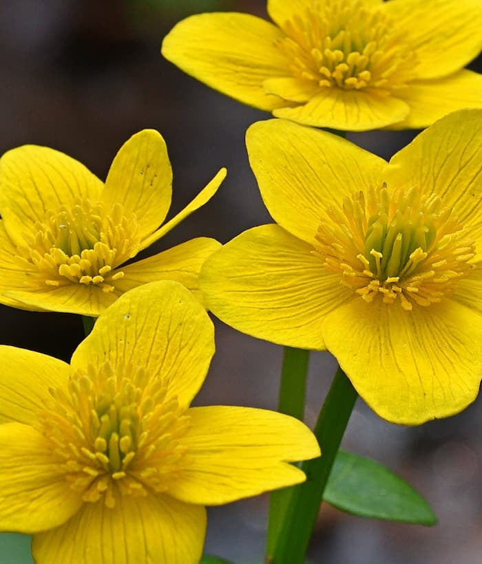 <h1>How can we help<br/>you today?</h1>