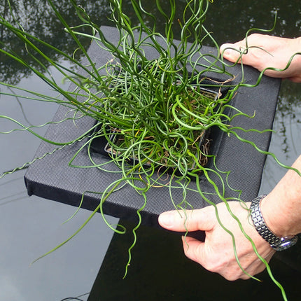 Floating Aquatic Plant Basket – Square (25 cm & 35 cm)