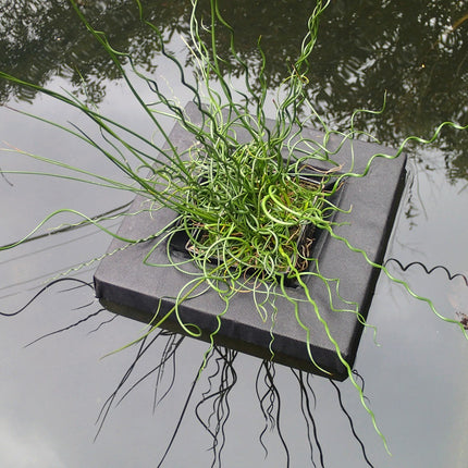 Floating Aquatic Plant Basket – Square (25 cm & 35 cm)