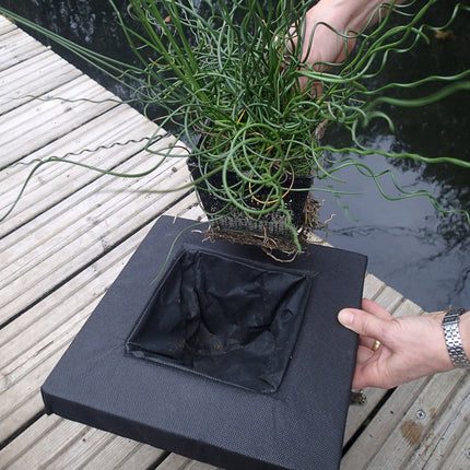 Floating Aquatic Plant Basket – Square (25 cm & 35 cm)