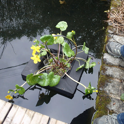 Handles for 3 Litre Hexagonal Finofil Aquatic Basket