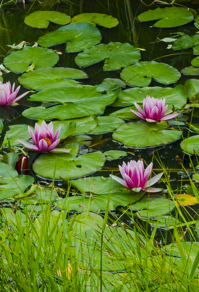 <h1>Get ready for Spring</h1>